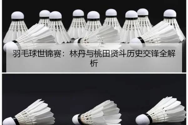 羽毛球世锦赛：林丹与桃田贤斗历史交锋全解析